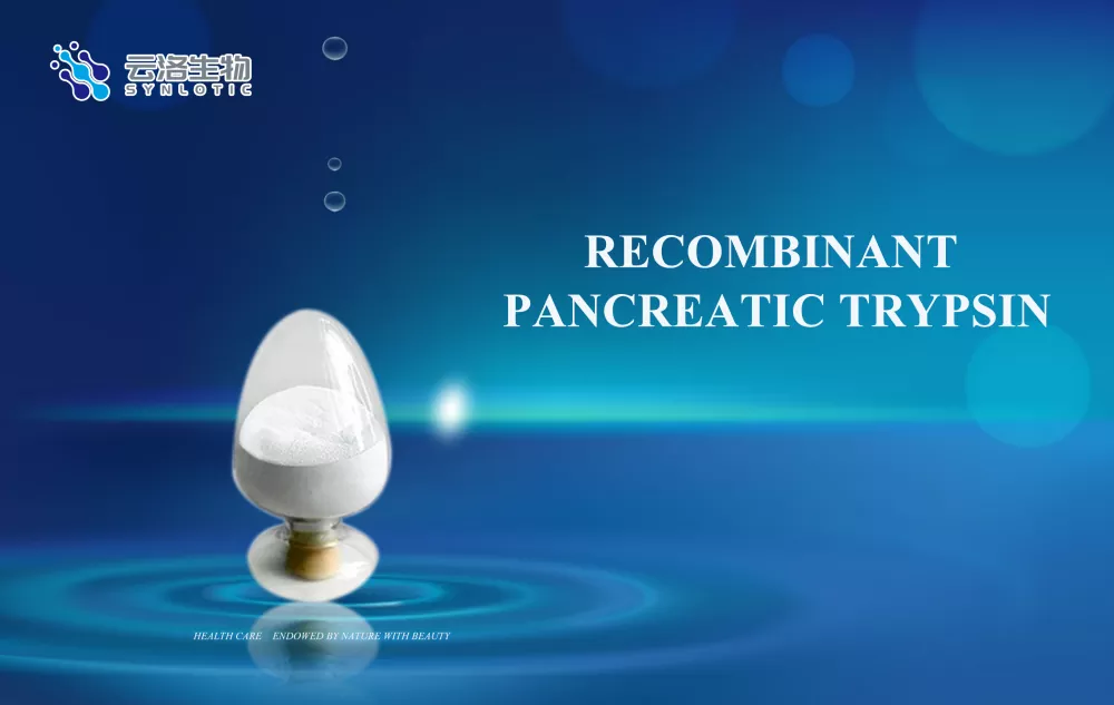 เอนไซม์มีหน้าที่อะไร?