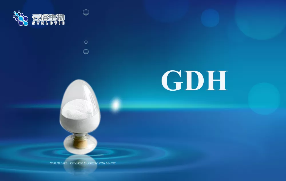 แนวคิดพื้นฐานของเอนไซม์คืออะไร?