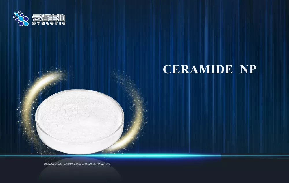 Ceramide NP ช่วยดูแลปัญหาผิวหนังในเครื่องสำอางสมัยใหม่ได้อย่างไร?