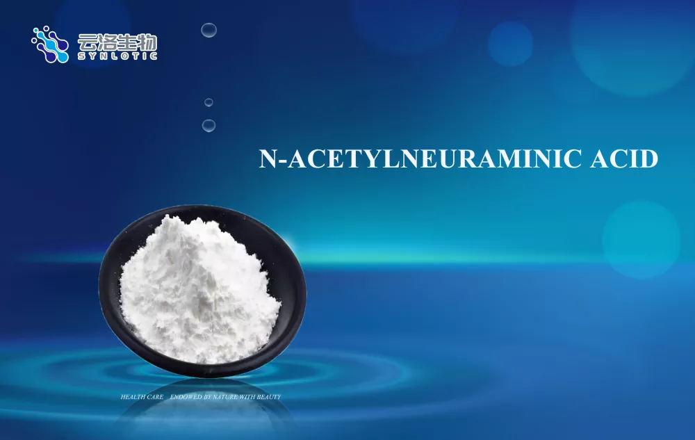 กรด N-acetylneuraminic